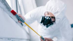 Best Termite Inspection and Treatment  in Bayou La Batre, AL